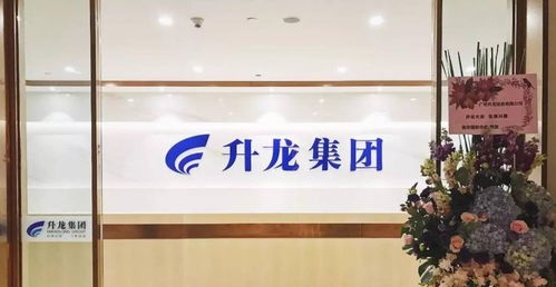 迷你 物企萬盈服務(wù)欲上市 極其依賴升龍集團,林億全資控股